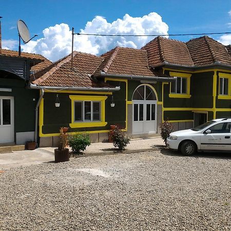 Apartament Casa Ana Haţeg Zewnętrze zdjęcie