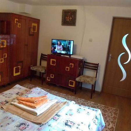 Apartament Casa Ana Haţeg Zewnętrze zdjęcie