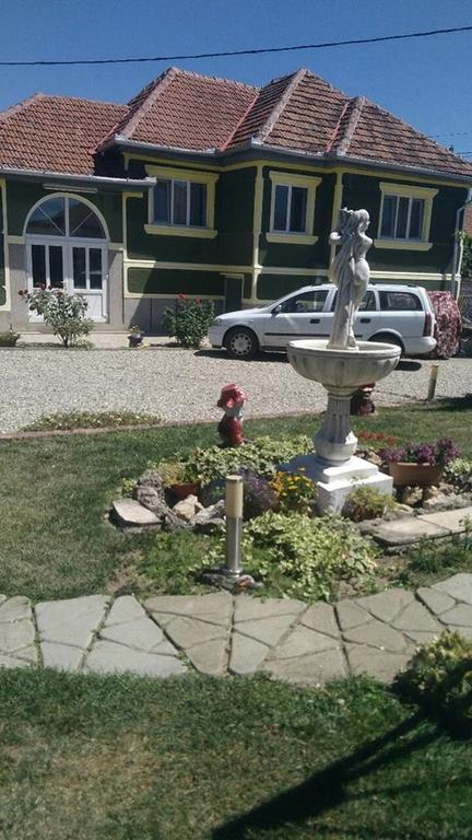 Apartament Casa Ana Haţeg Zewnętrze zdjęcie