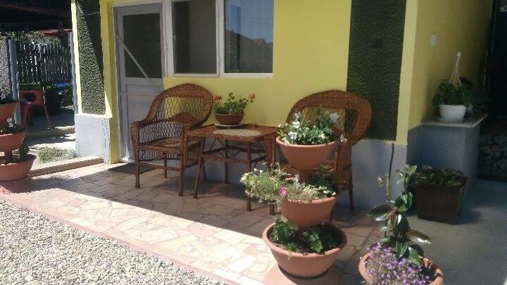 Apartament Casa Ana Haţeg Zewnętrze zdjęcie