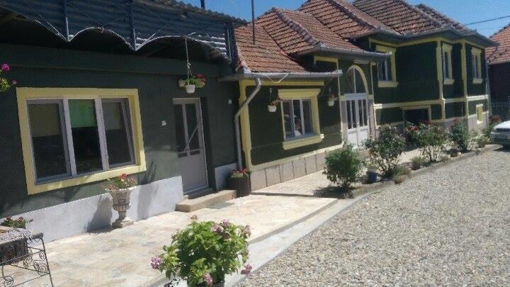 Apartament Casa Ana Haţeg Zewnętrze zdjęcie