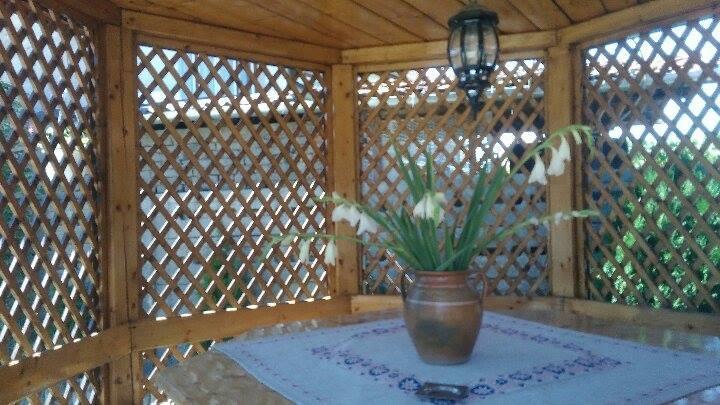 Apartament Casa Ana Haţeg Zewnętrze zdjęcie