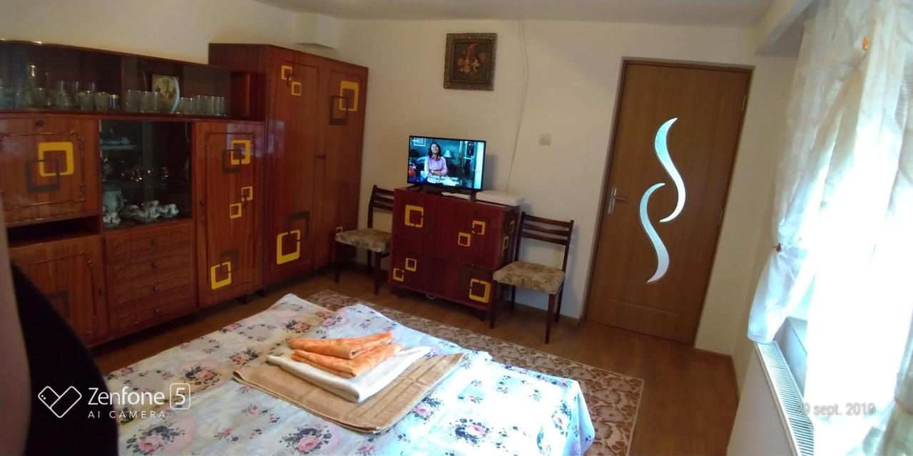 Apartament Casa Ana Haţeg Zewnętrze zdjęcie