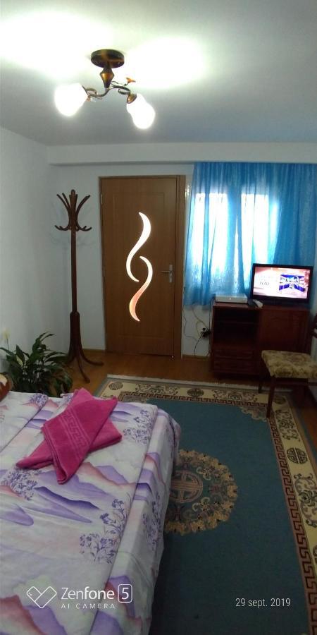 Apartament Casa Ana Haţeg Zewnętrze zdjęcie