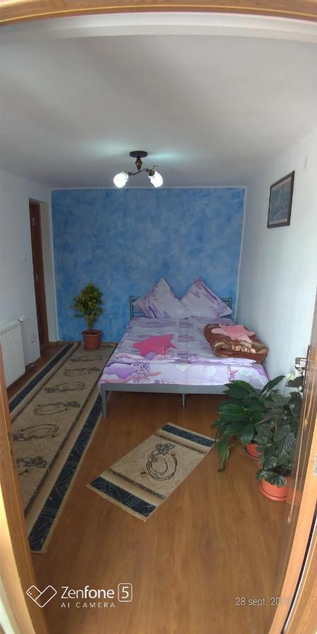 Apartament Casa Ana Haţeg Zewnętrze zdjęcie