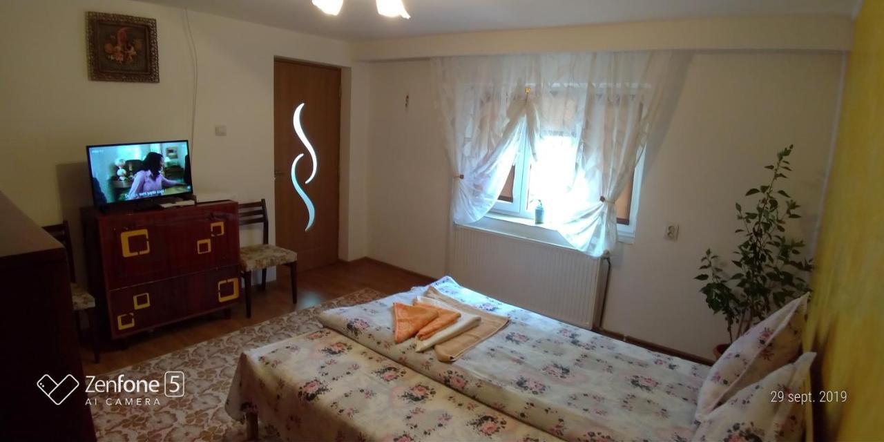 Apartament Casa Ana Haţeg Zewnętrze zdjęcie