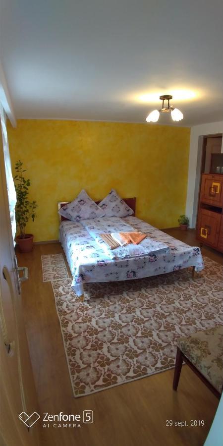 Apartament Casa Ana Haţeg Zewnętrze zdjęcie