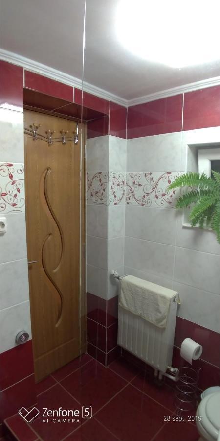 Apartament Casa Ana Haţeg Zewnętrze zdjęcie